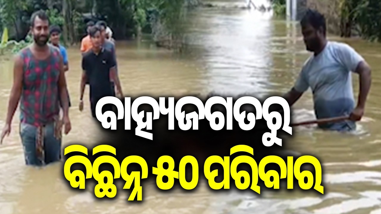 ବାହ୍ୟଜଗତରୁ ବିଛିନ୍ନ ୫୦ ପରିବାର | Heavy Rains Leave 50 Families Stranded in Nilagiri | Kalinga TV