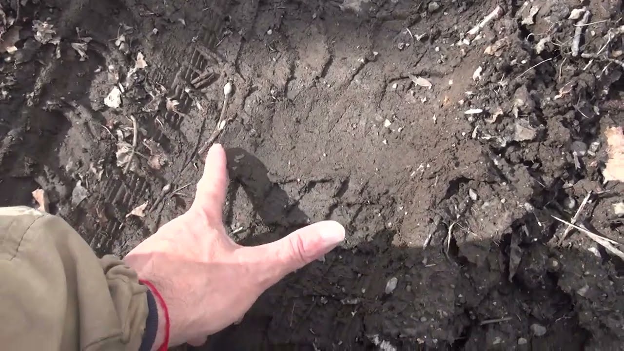 Охота на медведя часть 3 19 мая 2024