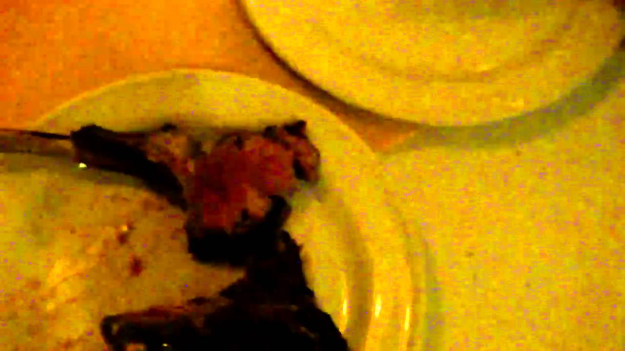 acceptable way to eat lamb chops