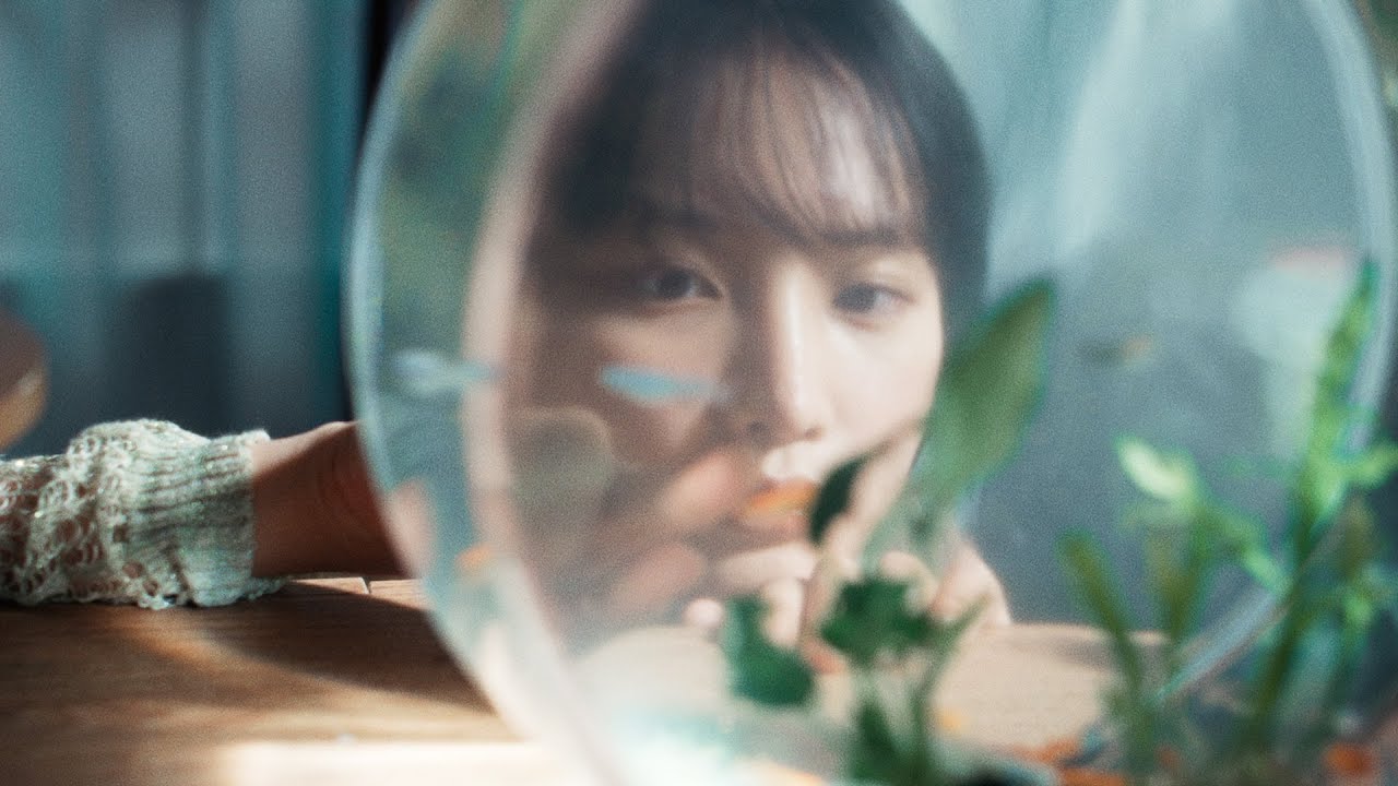 hockrockb / プレゼント交換 -OFFICIAL MUSIC VIDEO-