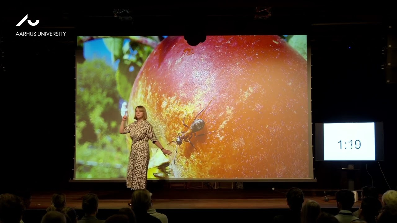 3 Minute Thesis: The smelly feet of ants and their applications in agriculture
