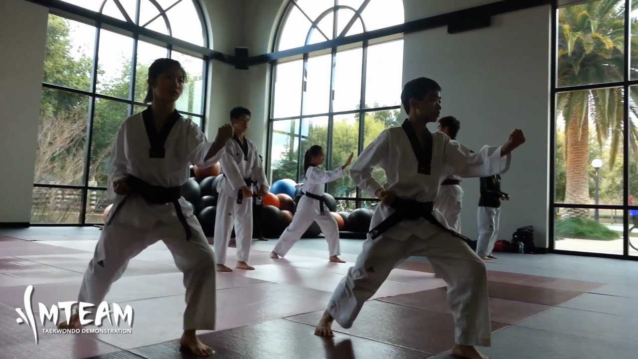 Team-M Taekwondo: 2013 Training