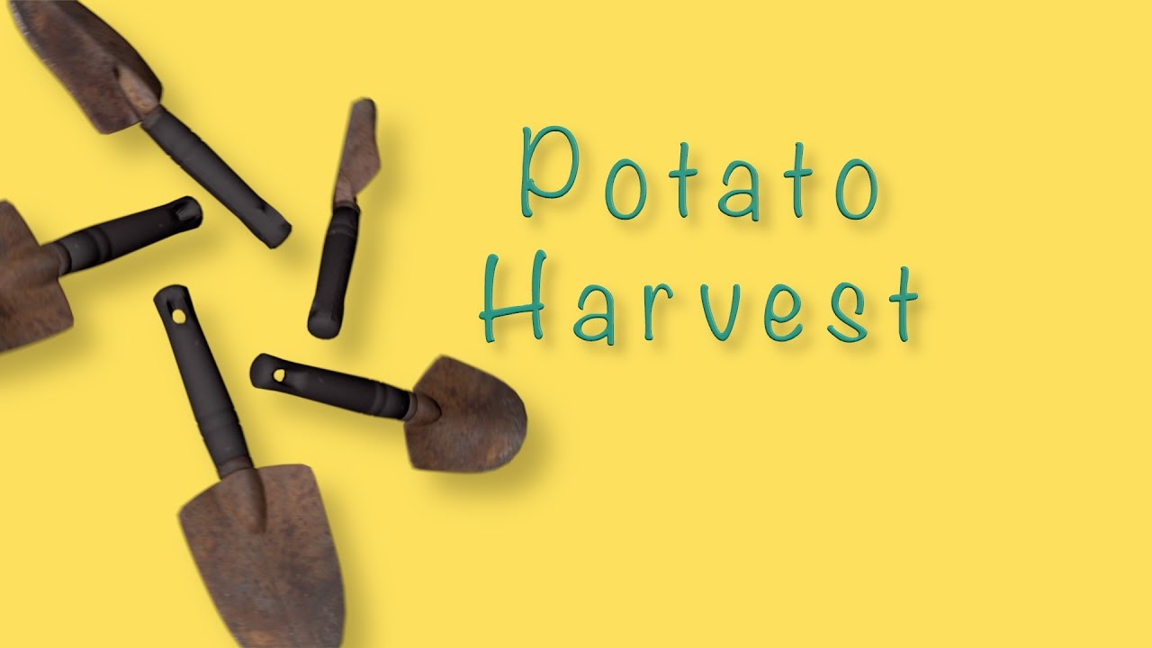 Ep 16 Potato Harvest