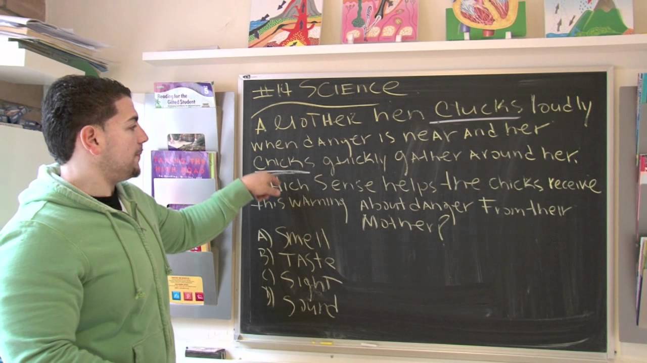 4th Grade New York State Science test 14/30