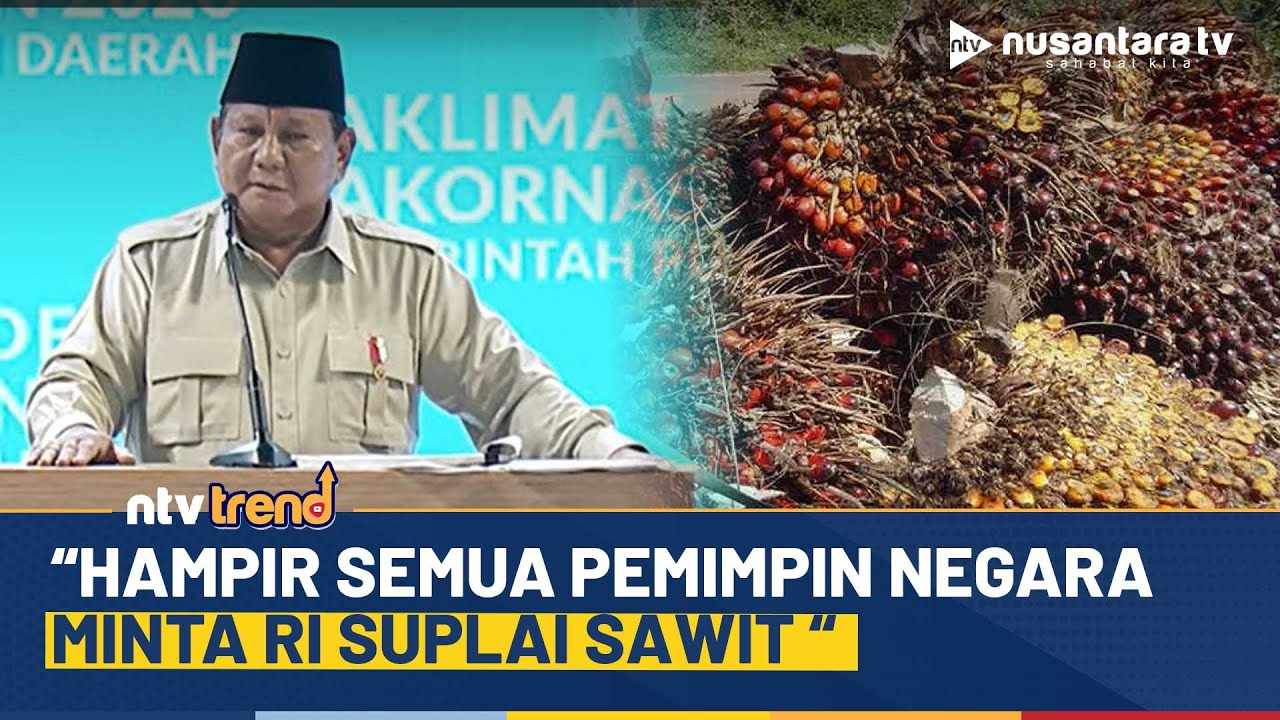 Presiden Prabowo Pamer Banyak Pemimpin Dunia Minta Sawit dari Indonesia | NTV