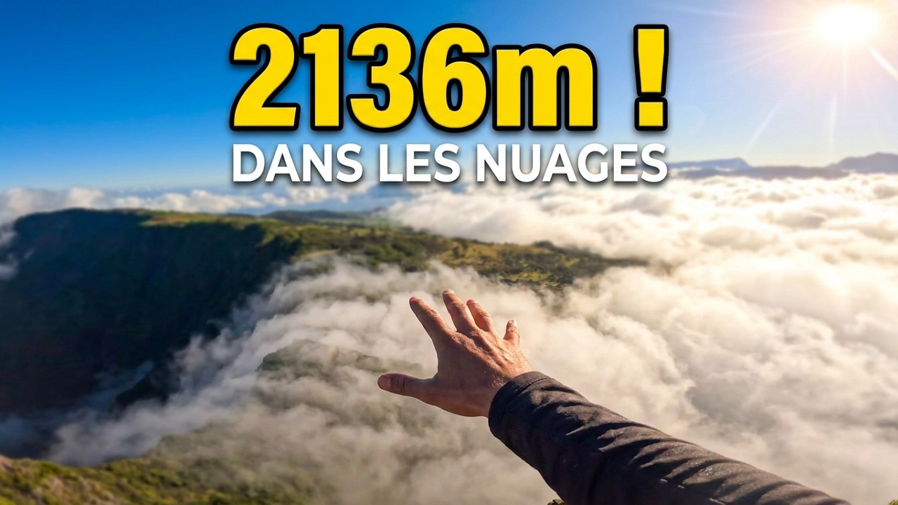 🇷🇪Rando🥾L'Ascension du Nez de Boeuf et le tour du plateau du nez de Boeuf #randonnée #travel