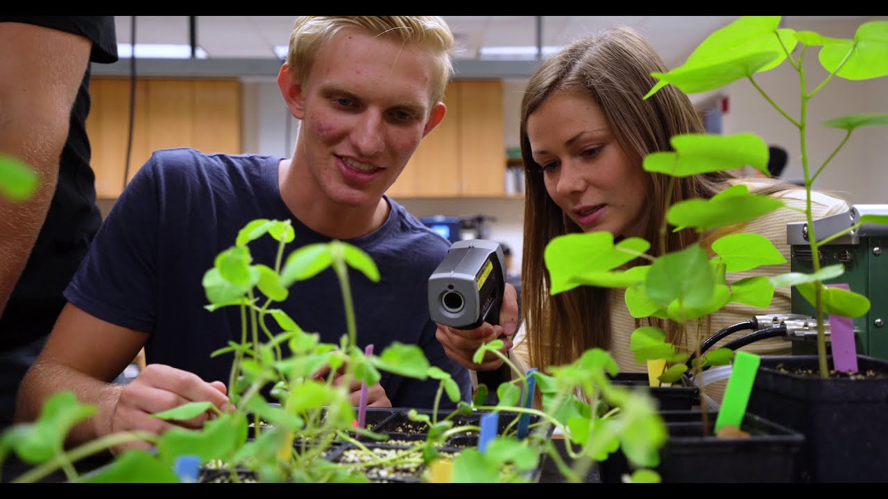 Why Study Biology at Calvin University