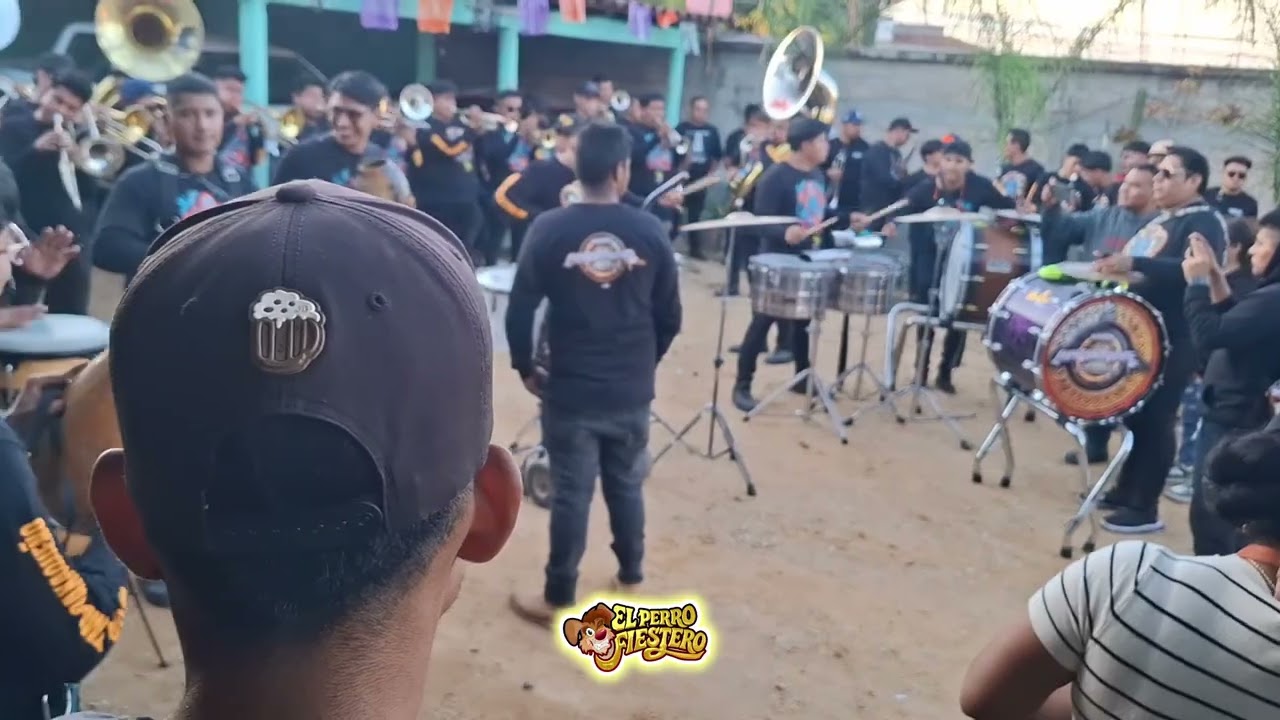 🎶El Gavilán Pollero🦅 / Muerteada 2025 Guadalupe Hidalgo Etla 