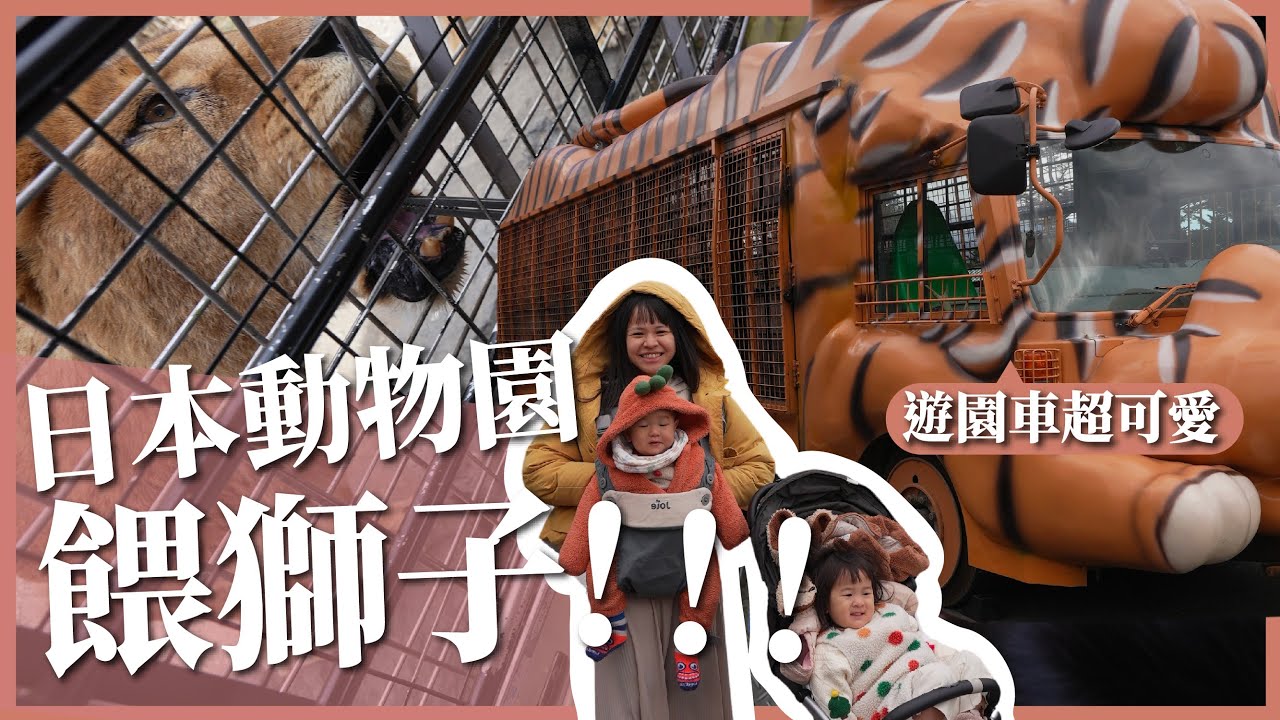 人生第一次餵獅子啦！日本動物園超好玩｜富士野生動物園｜豬豬隊友 Scott & Wendy