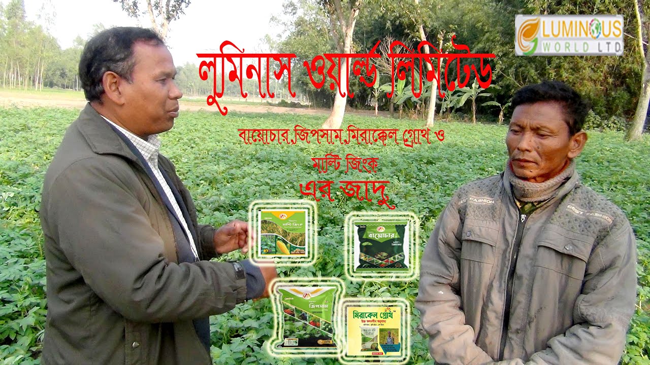 আলু চাষে লুমিনাস গ্রুপের পণ্য ব্যবহার করে মিলেছে অসাধারণ সাফল্য!