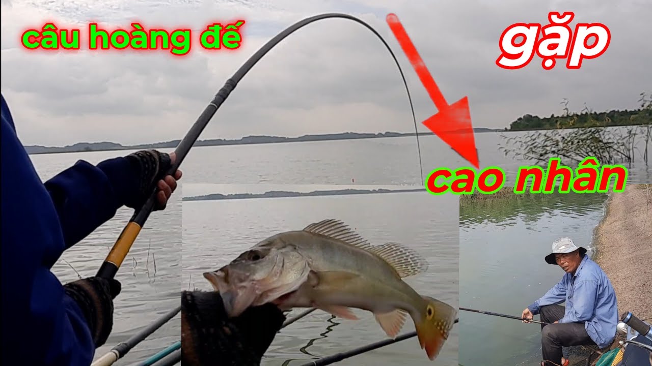 Câu cá hồ trị an gặp cao nhân câu cá hoàng đế /Emperor fishing in Tri An lake