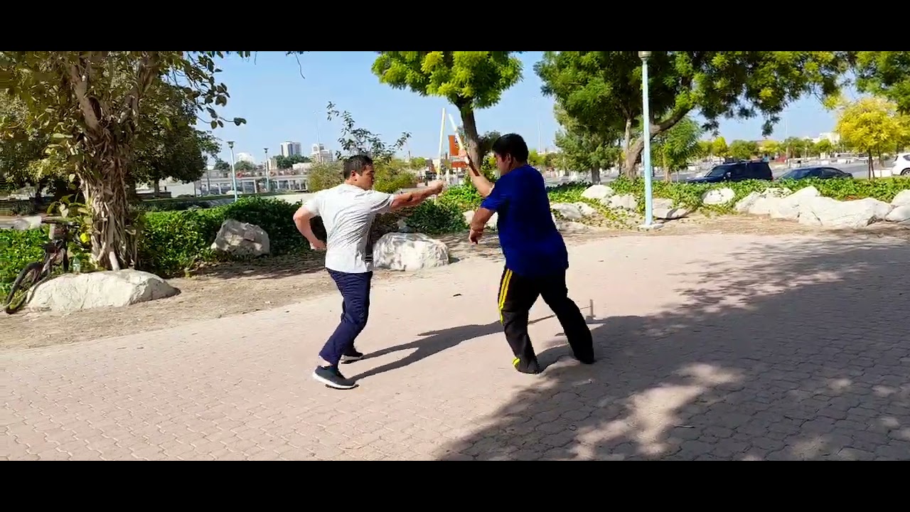 Arnis Training 02 |Lightning Scientific Arnis International #fma #mmatraining #escrimasticks #shorts