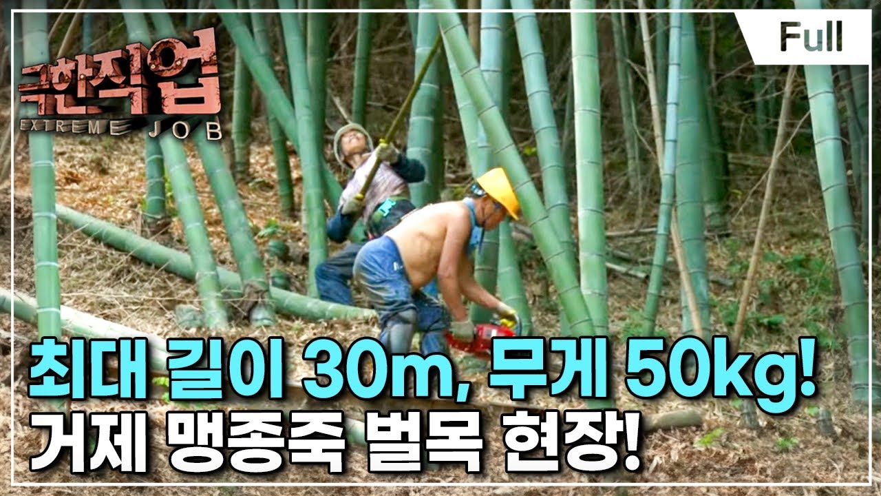 [Full] 극한직업 - 대나무 수확