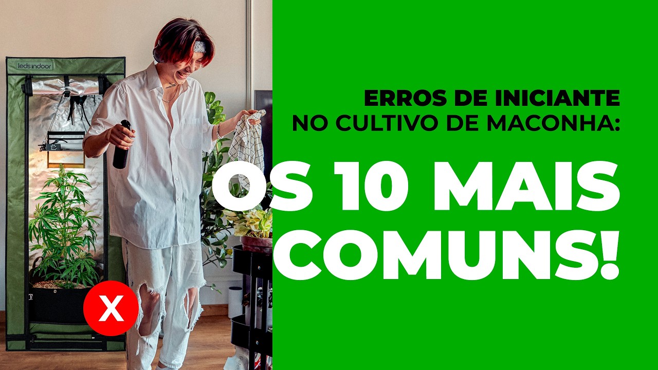 Evite Problemas: Os 10 Maiores Erros no Cultivo de Cannabis - Guia para Iniciantes