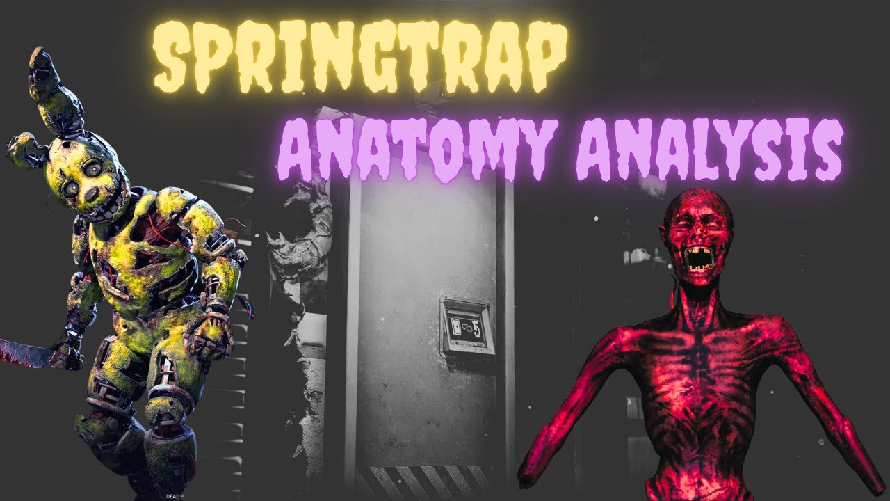 Springtrap's In-depth anatomy analysis | DBD William