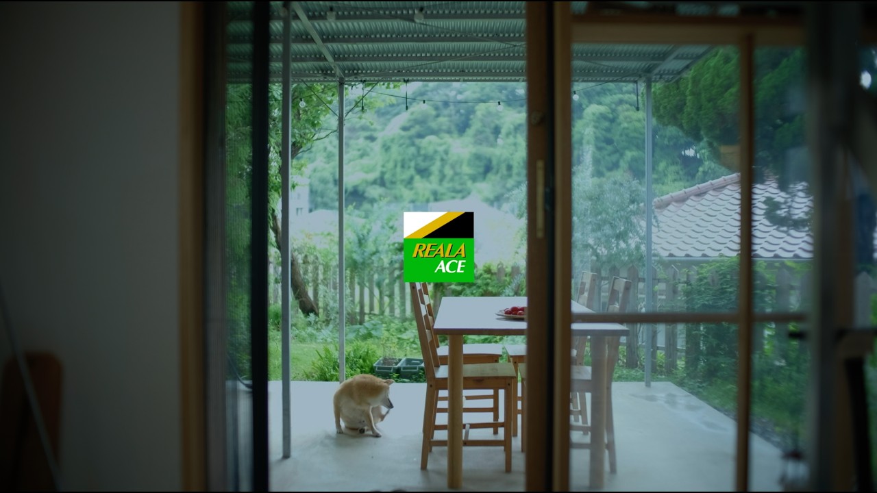 Film Simulation - REALA ACE Promotional Video/ FUJIFILM