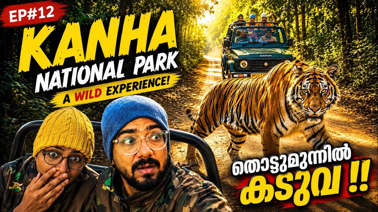 തൊട്ടുമുന്നിൽ അലറിവിളിച്ച് കടുവ ! Kanha National Park Full Details | 4 Jeep Safari In Kanha
