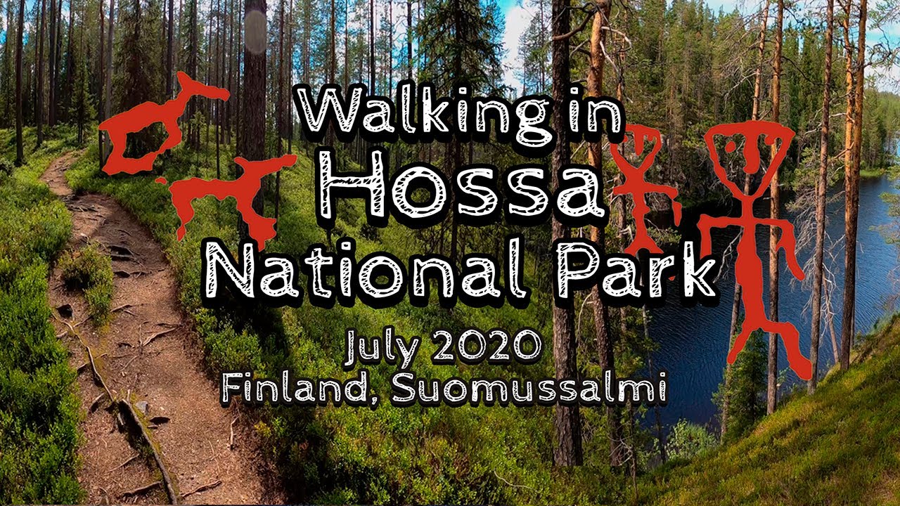 Walking in Hossa National Park, July 2020, Finland, Suomussalmi [4K]