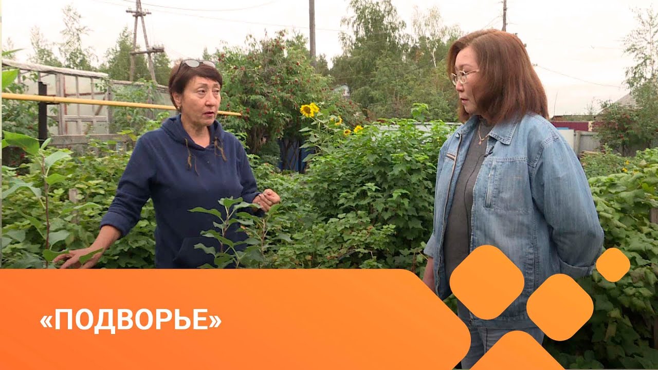 «Подворье» (24.08.21)