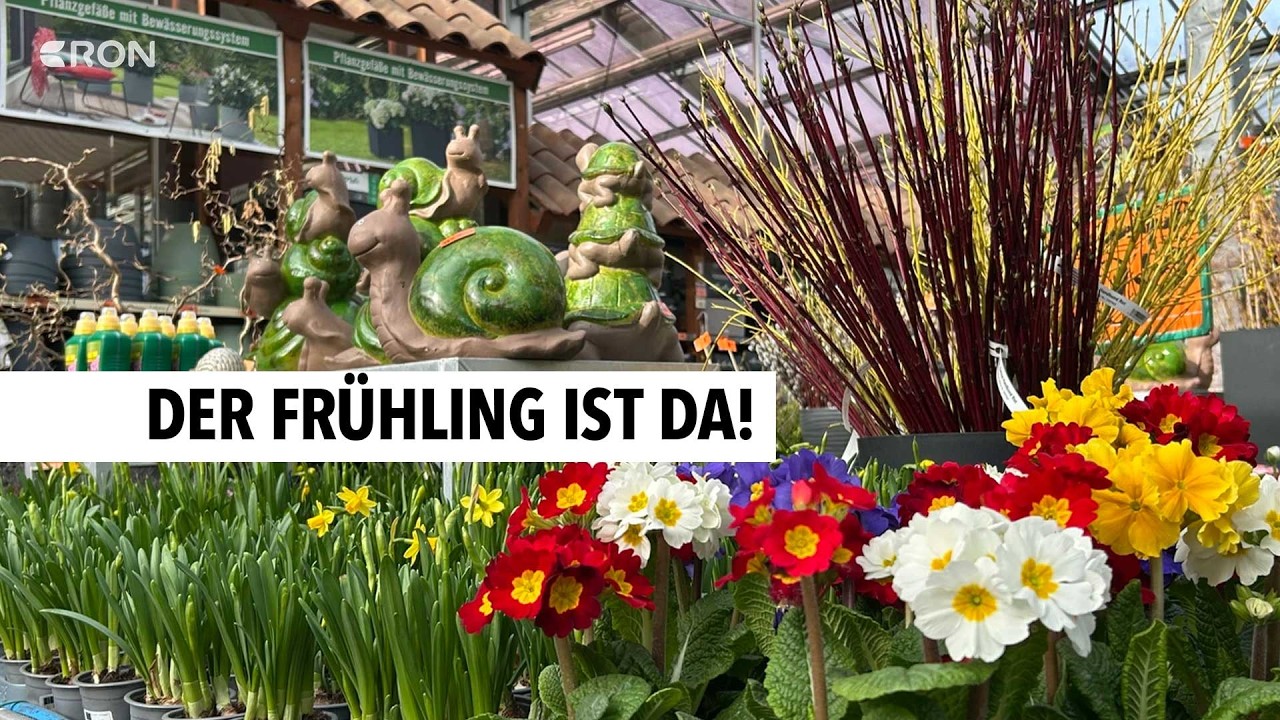 So bereiten sich die Menschen auf die schöne Jahreszeit vor | RON TV
