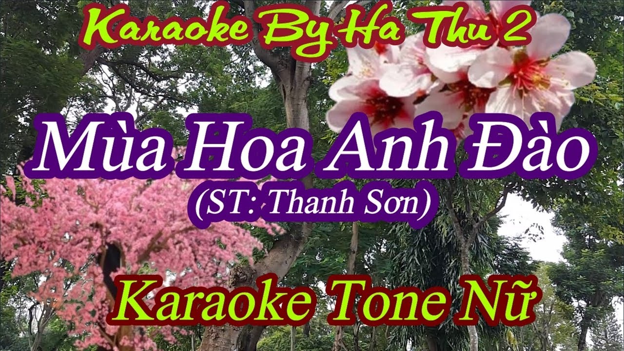 Karaoke Mùa Hoa Anh Đào (ST:Thanh Sơn)| Tone Nữ | Karaoke By Ha Thu 2