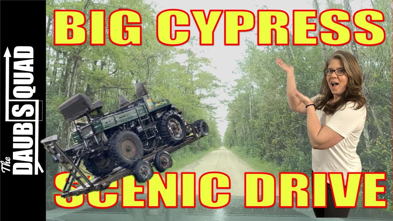 Big Cypress Scenic Drive - Everglades - with the DaubSquad