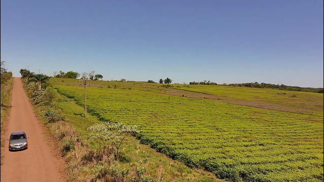 Campo Ramon