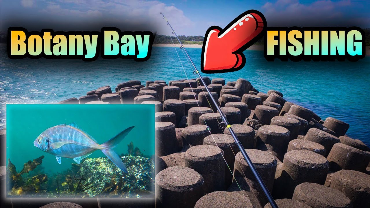 What’s Lurking Off the Breakwall? | Botany Bay Hookups