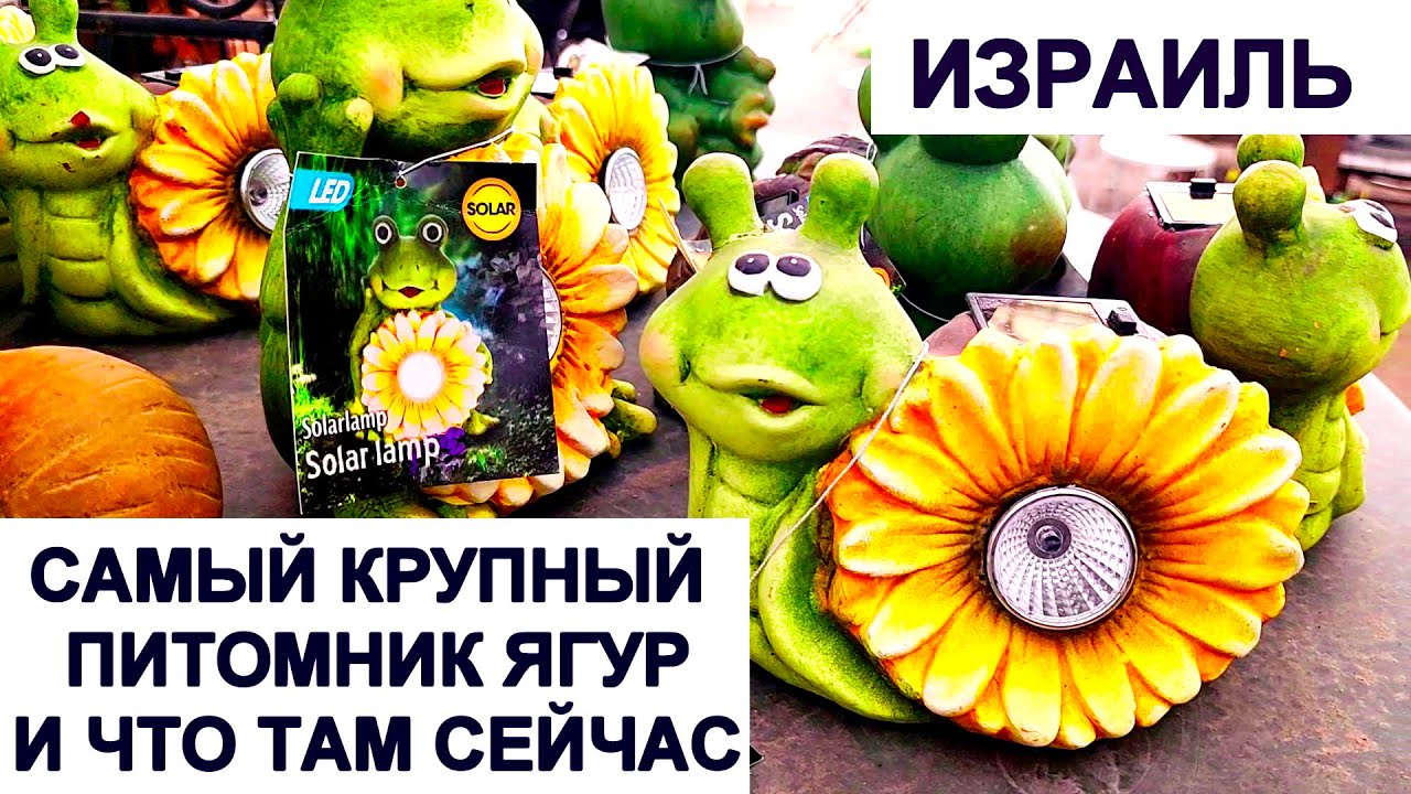 975.Распродажа одежды.  Цветы. Стопмаркет:➕️ и ➖️