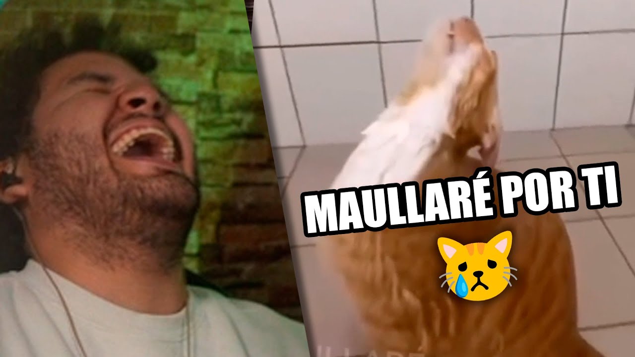 TIKTOKS tan XD que ESTARAS BAJO LA LLUVIA