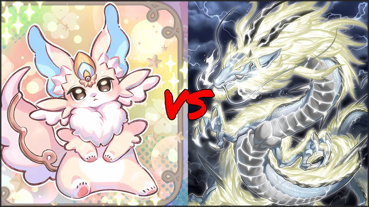YGO Karo Locals Runde 3 04.06.24 - Purrely (2-0) vs Tenpai Dragon (2-0)