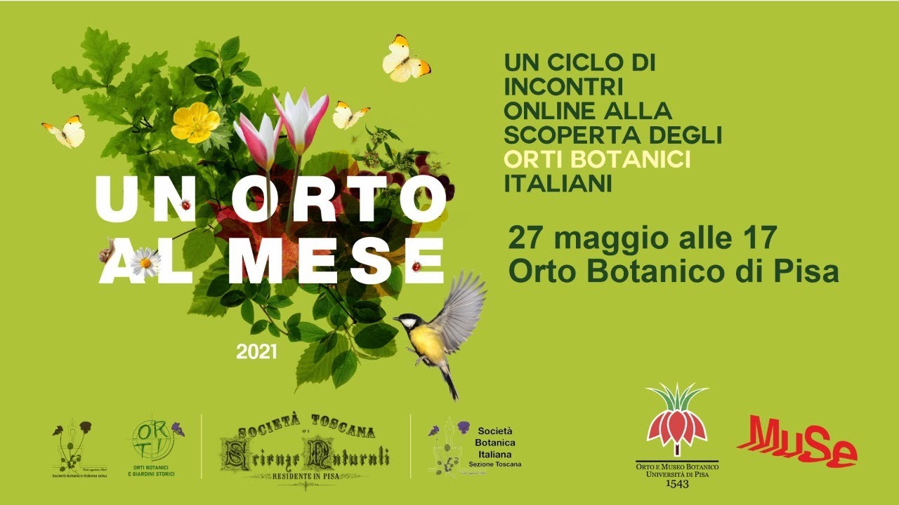 Un Orto al mese: l'Orto Botanico di Pisa