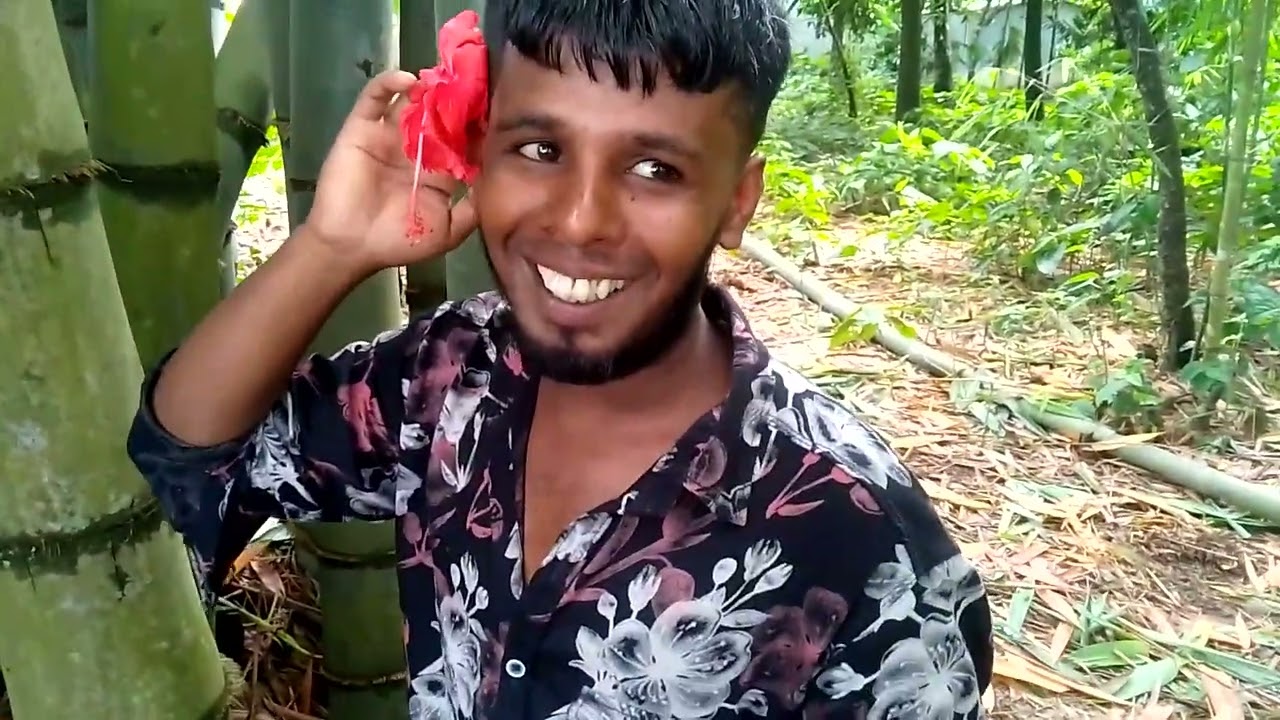 #foryou #reels🌹 দেখুন আমাদের সব বাশের সেরা বাস হ্যালো রাজা বাঁশ অনেক সুন্দর তাই আপনাদেরকে দেখাইলাম 🌹