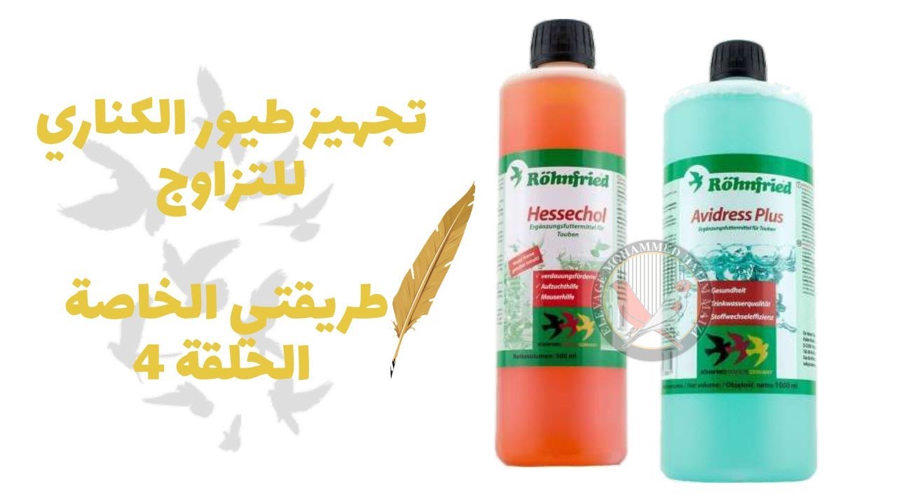 تجهيز طيور الكناري للتزاوج   طريقتي الخاصة الحلقة رقم 4 PREPARATION DES CANARIS POUR LA REPRODUCTION