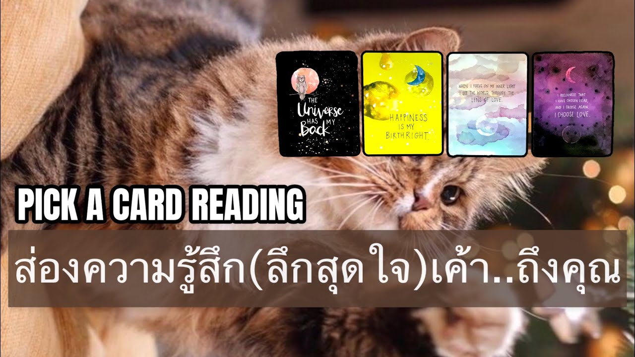 Pick a card reading Ep4: ส่องความรู้สึก(ลึกสุดใจ)เค้า..ถึงคุณ
