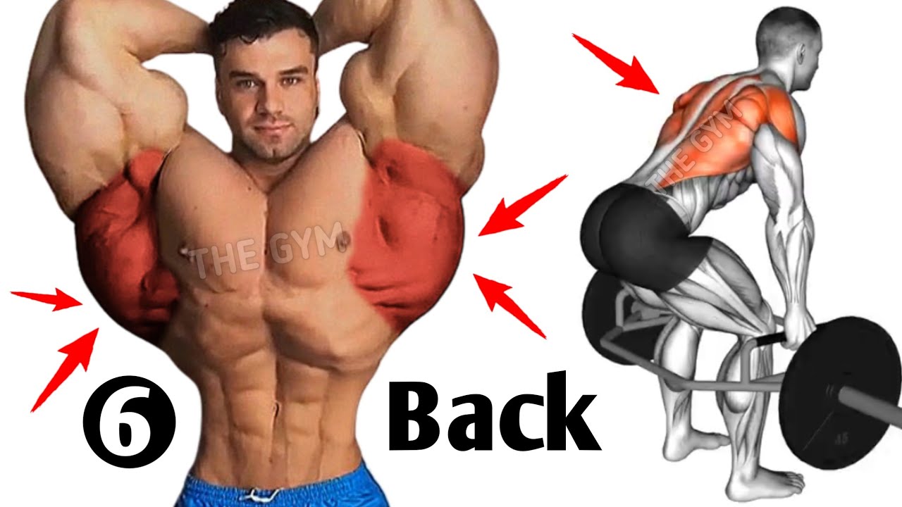 6 Wider back exercises ( fastest )