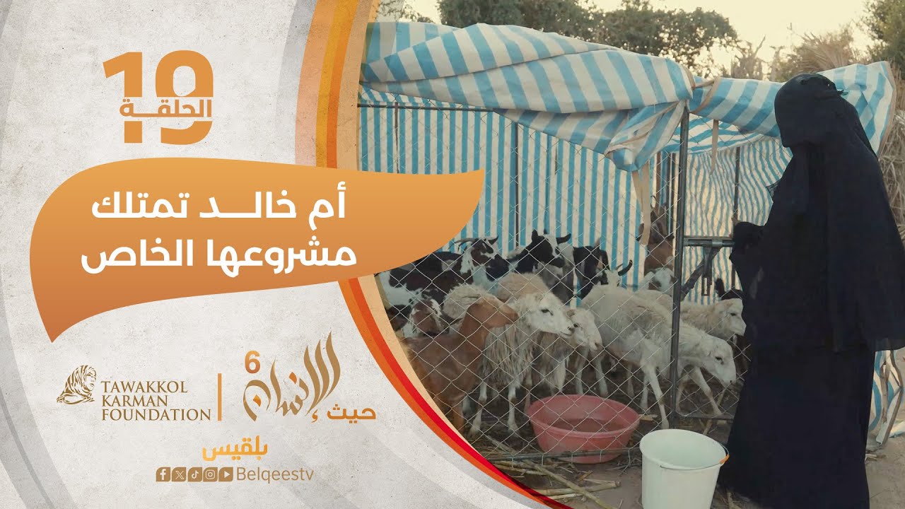 حيث الإنسان6 | مشروع خاص لأسرة في مأرب نزحت من الحرب 5 مرات | الحلقة 19