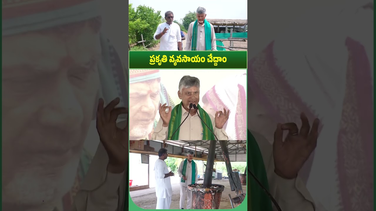 CM Chandrababu Naidu about Natural Farming #annadatasukhibava #andhrapradesh #appolitics