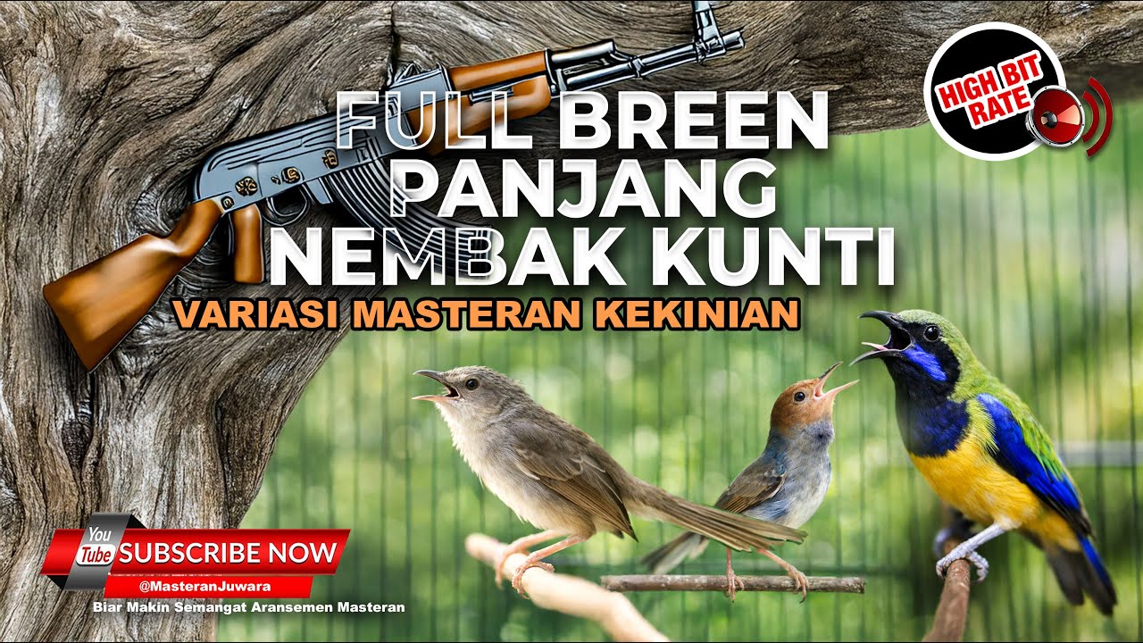 🔴 Live Masteran Full Bren Panjang Tembakan Prenjak Tir Sambung Cucak Cungkok Gacor Kunti Panjang