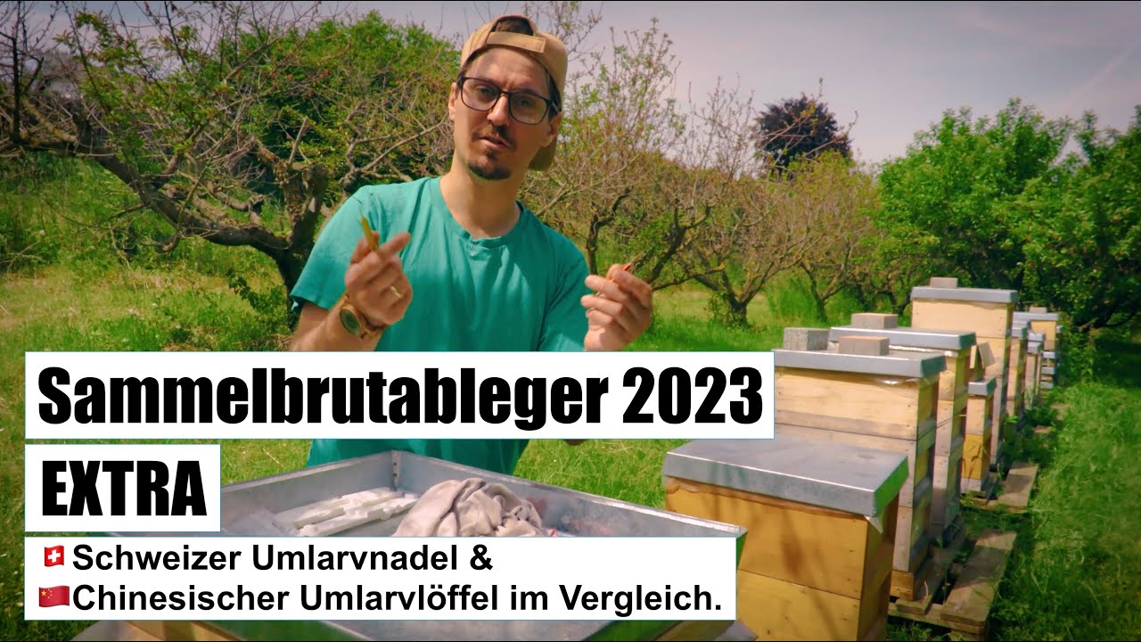 Sammelbrutableger 2023 - EXTRA - 🇨🇭Schweizer Umlarvnadel & 🇨🇳Chinesischer Umlarvlöffel im Vergleich.