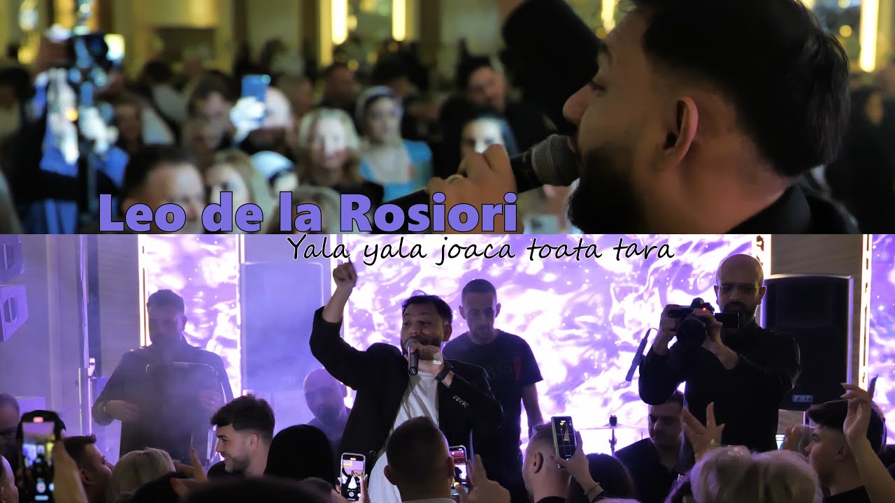 Leo de la Rosiori - Yala yala joaca toata tara | Cover @TinaDavidArtist