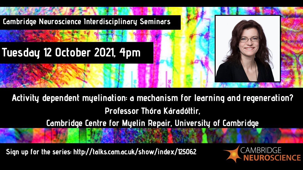Cam Neuro - Th&oacute;ra K&aacute;rad&oacute;ttir -Activity dependent myelination: mechanism for learning & regeneration?
