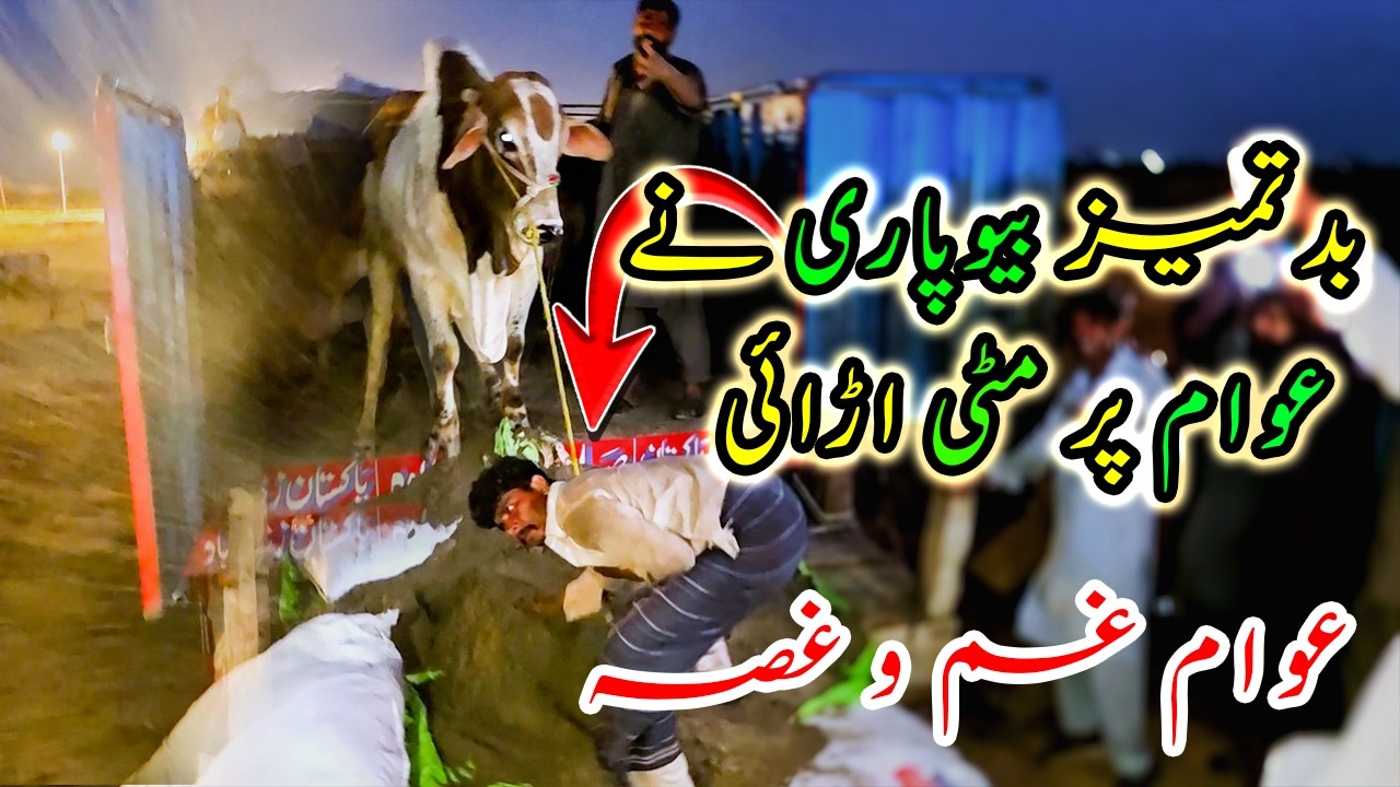Kya ye Sahi Harkat thi? Biopari ne Aisa Kyun Kiya? Northern Bypass Cow Mandi | Cattle Market Karachi