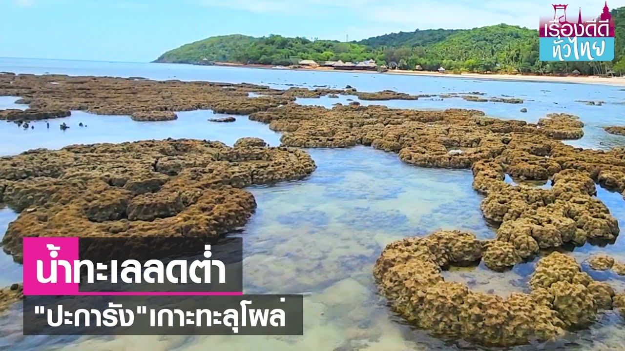 น้ำทะเลลดต่ำ ปะการังเกาะทะลุโผล่  | เรื่องดีดีทั่วไทย | 7-7-66