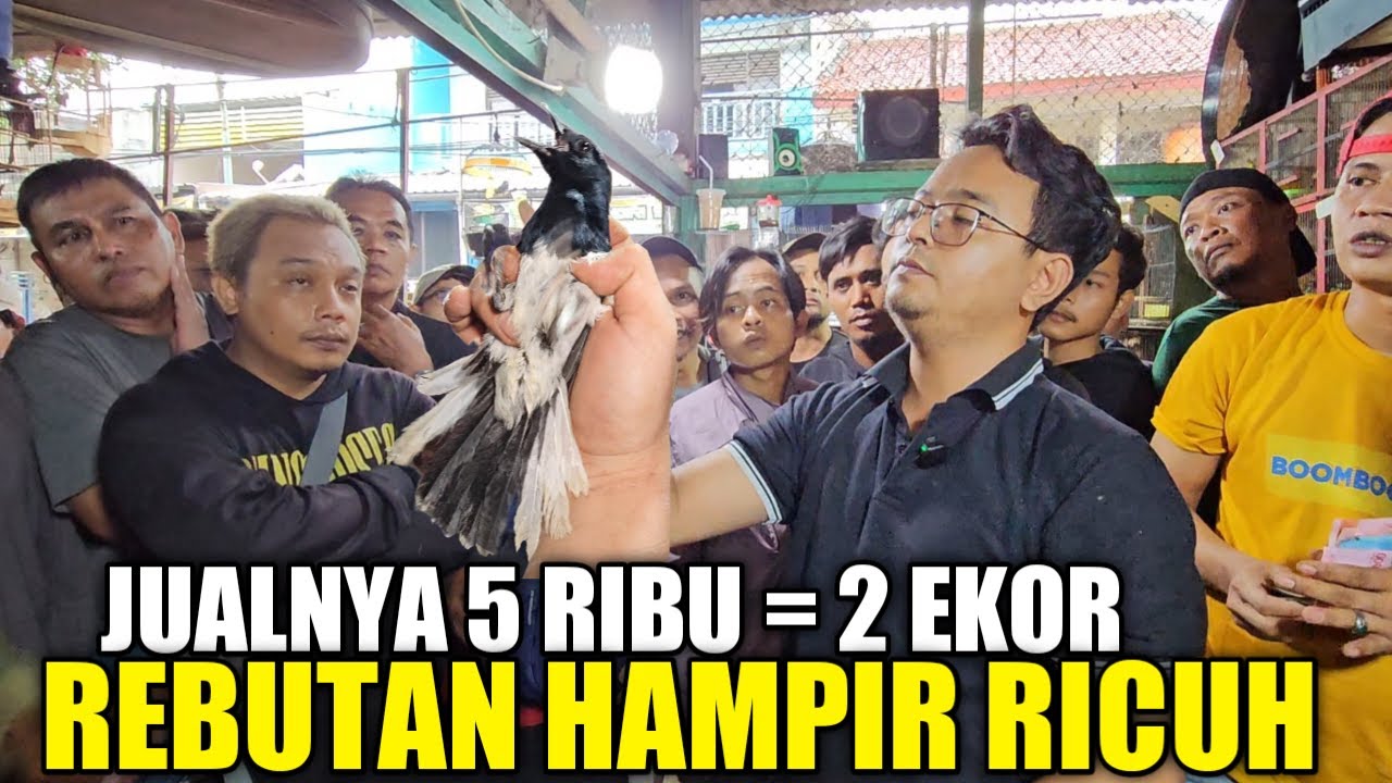 UNBOXING ! PULUHAN KACER BODY FUSO DIJUAL MURAH DIBAWAH HARGA BAKUL PRAMUKA DIKIOS ALHAMDULILLAH