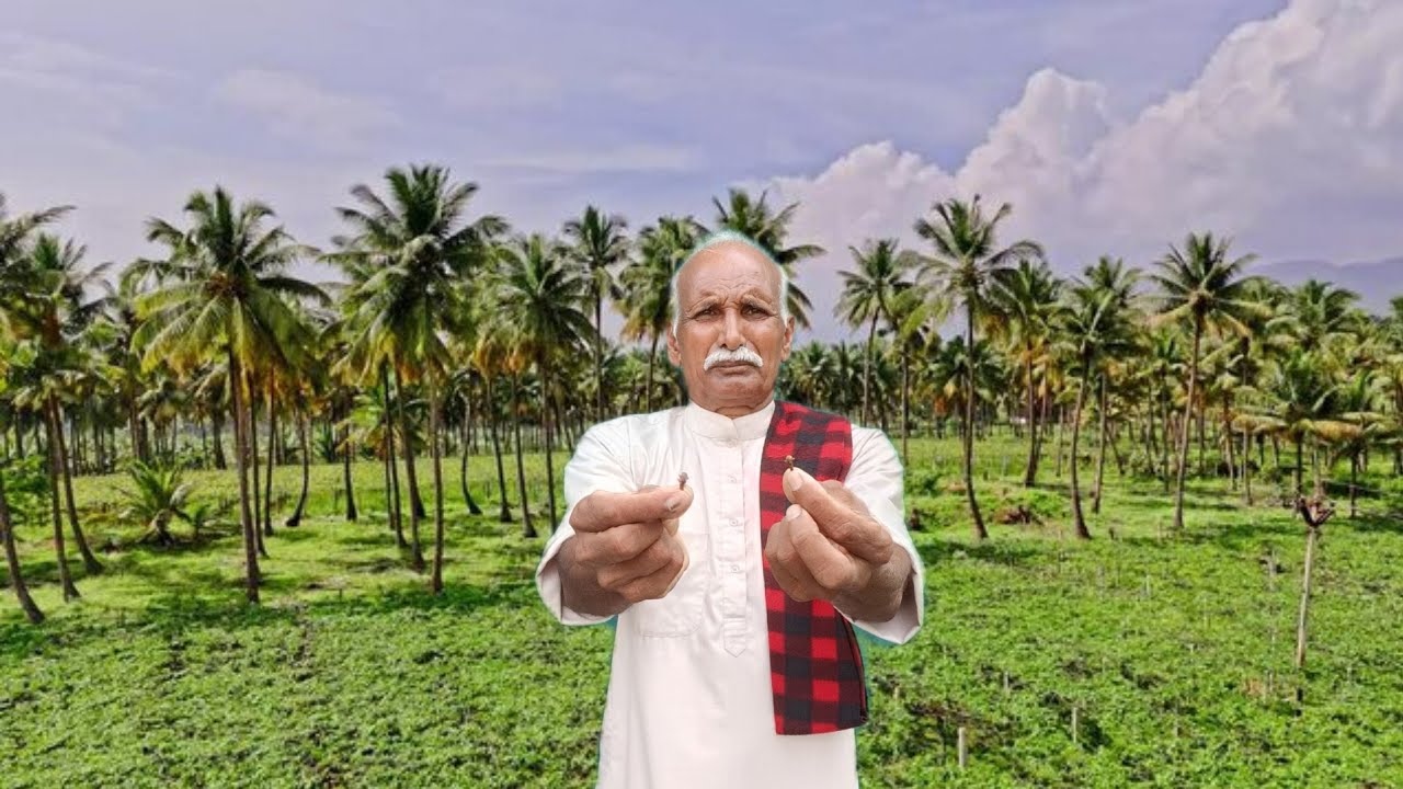 दो व्यक्तियों मे भयंकर होगी लड़ाई कर ले इस उपाय को जीवन भर के लिए अलग-अलग