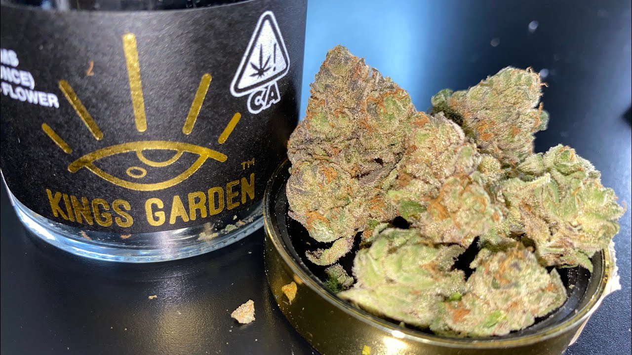 PIEHOE (KINGS GARDEN REVIEW) ⛽️🔥💨