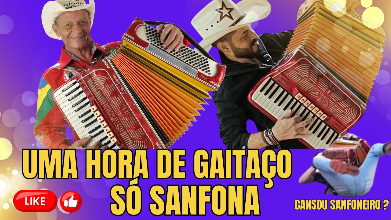 UMA HORA DE GAITAÇO-SÓ SANFONA #sanfona #sanfoneiros #sanfoneiro