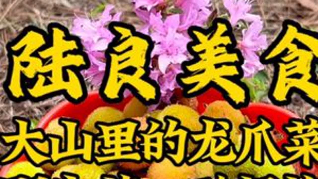 走啊，去捡野生菌、摘酸杨梅，撇龙爪菜啦。#陆良 #有一种叫云南的生活 #捡菌子 #杨梅熟了 #抖音美食推荐官