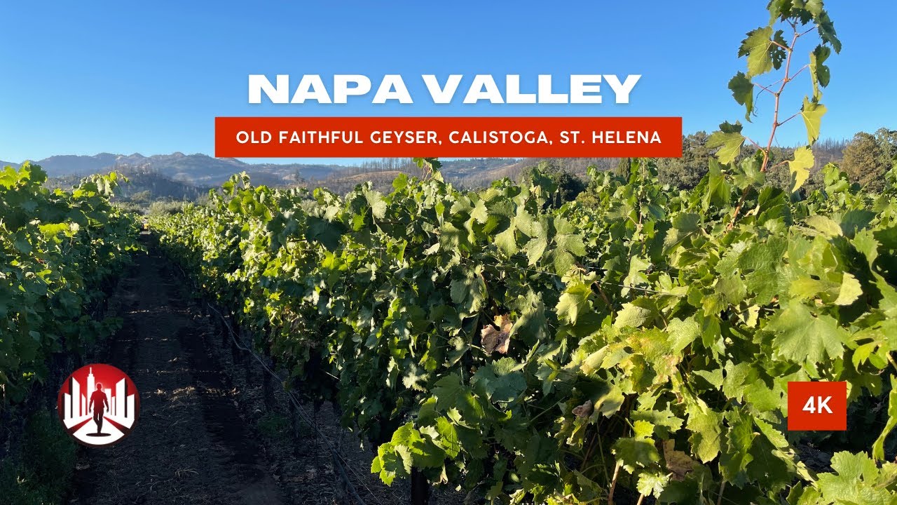 Napa Valley 4K walking tour: Old Faithful, Calistoga, and St. Helena